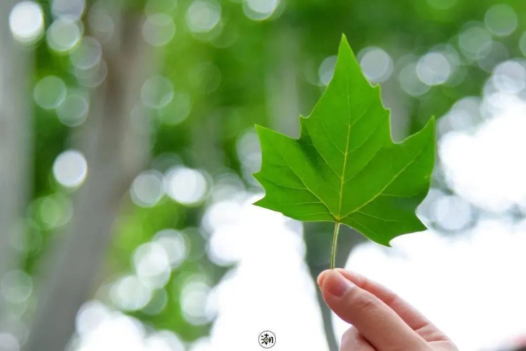 新葡京博彩官网