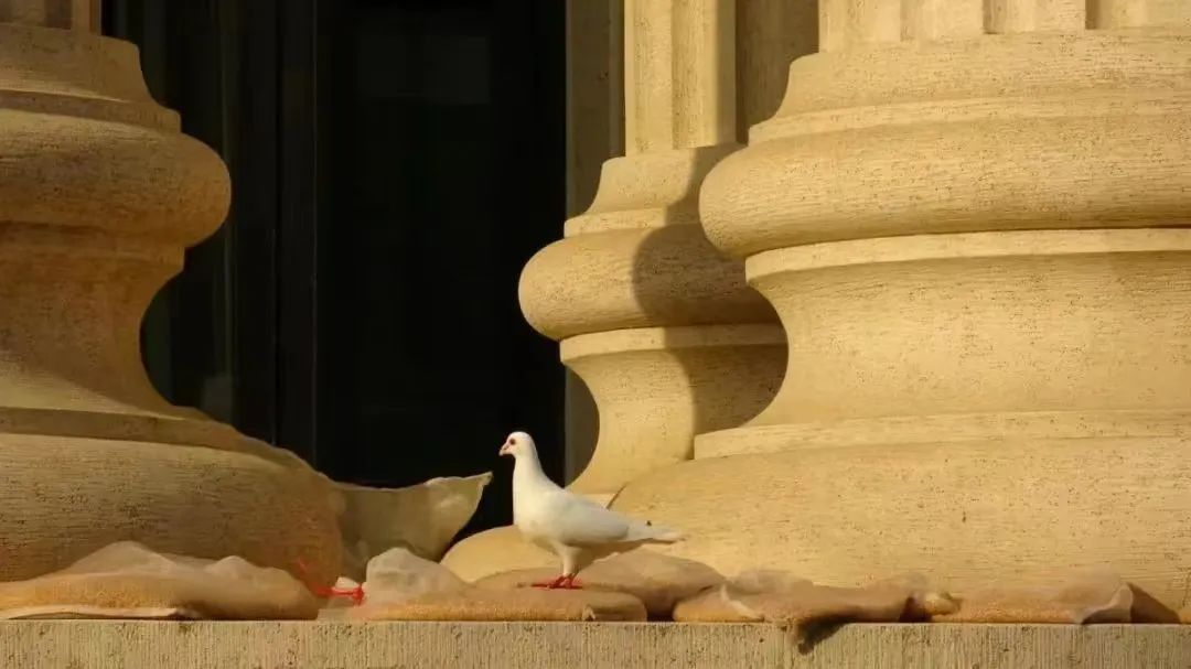 新葡京博彩官网