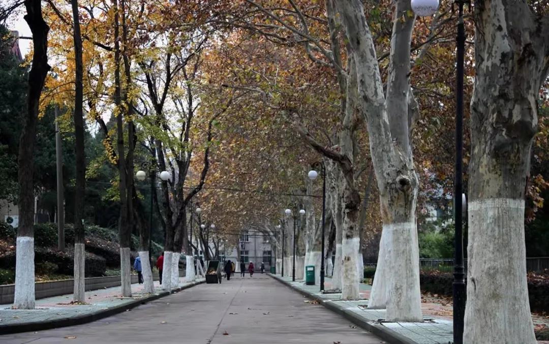 新葡京博彩官网