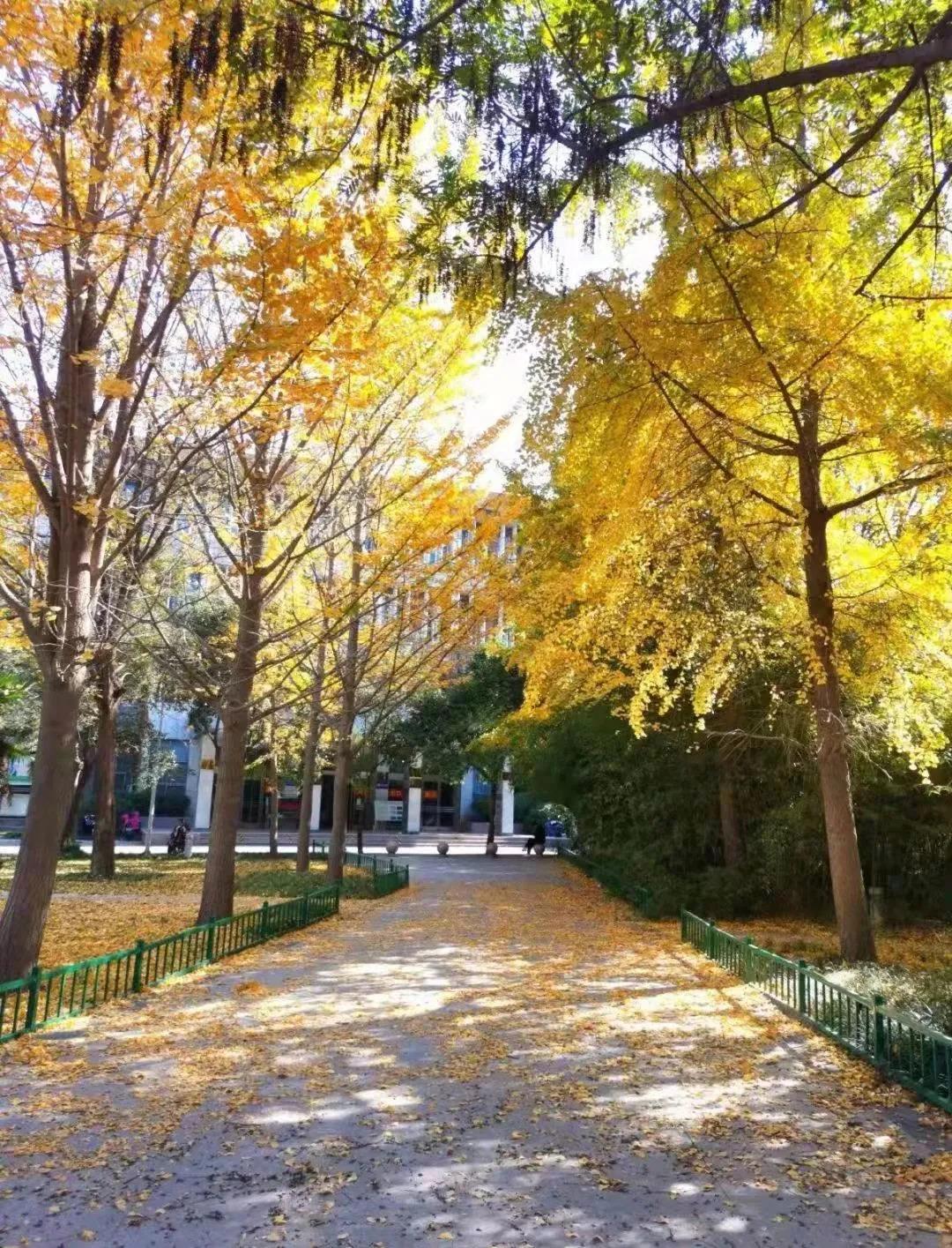 新葡京博彩官网