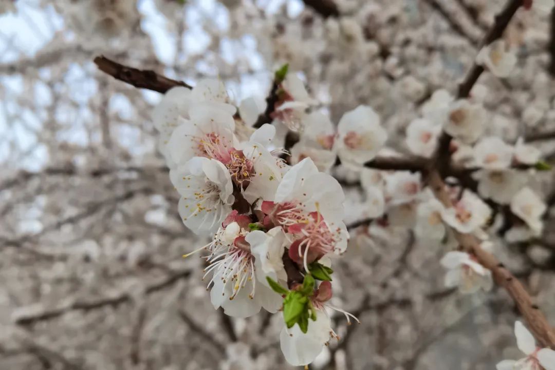 新葡京博彩官网