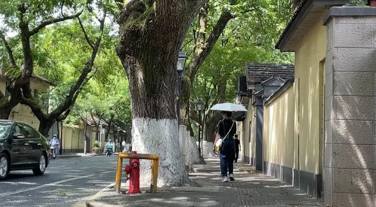 新葡京博彩官网