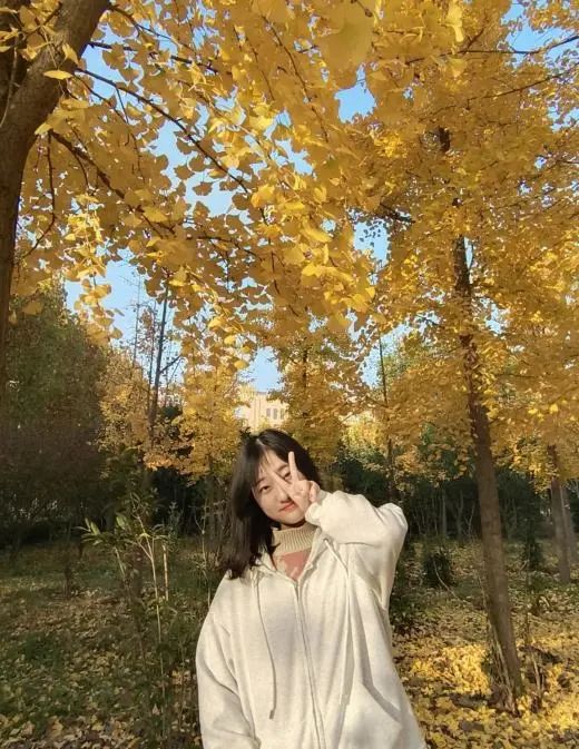 新葡京博彩官网