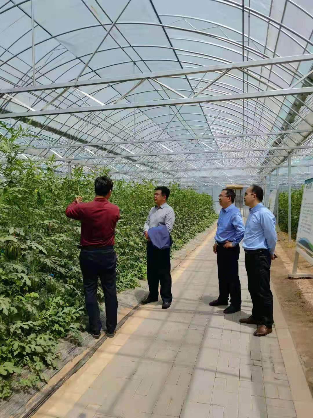 新葡京博彩官网
